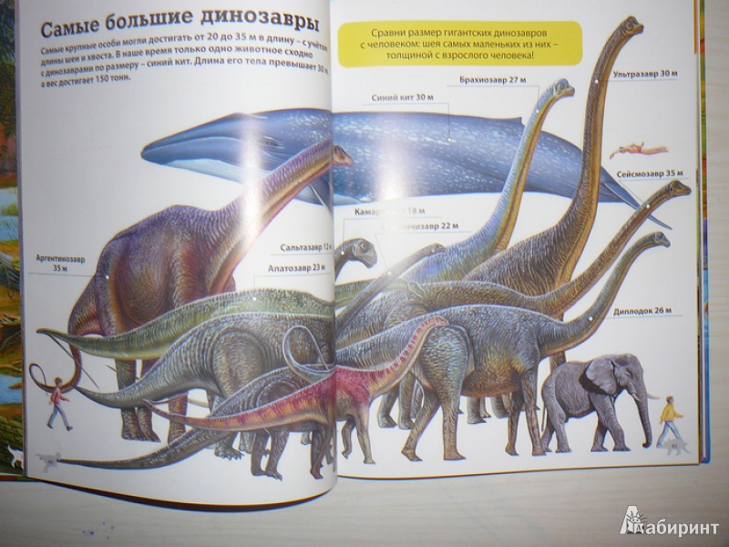 Иллюстрация 8 из 28 для Детская энциклопедия динозавров - Франциско Арредондо | Лабиринт - книги. Источник: Анна Ванна