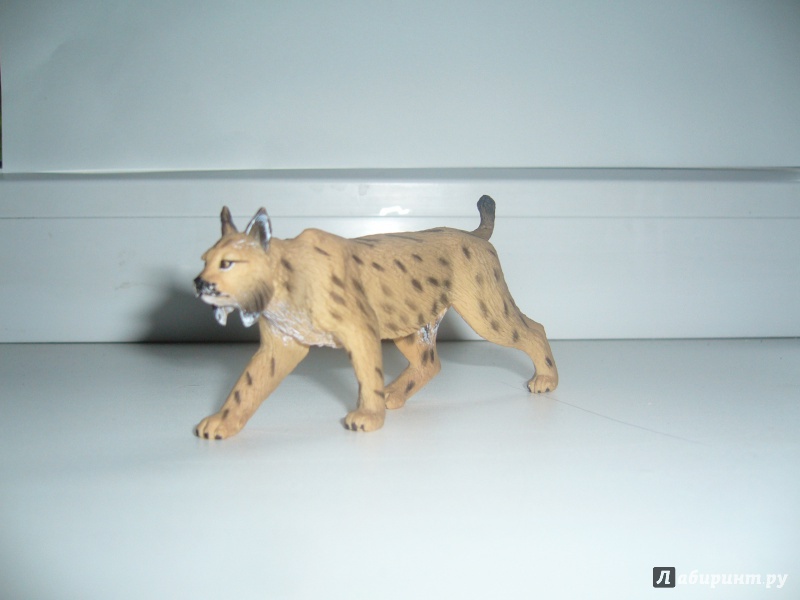 Иллюстрация 2 из 2 для Иберийская рысь (Iberian Lynx) (387064) | Лабиринт - игрушки. Источник: Пенина  Ника