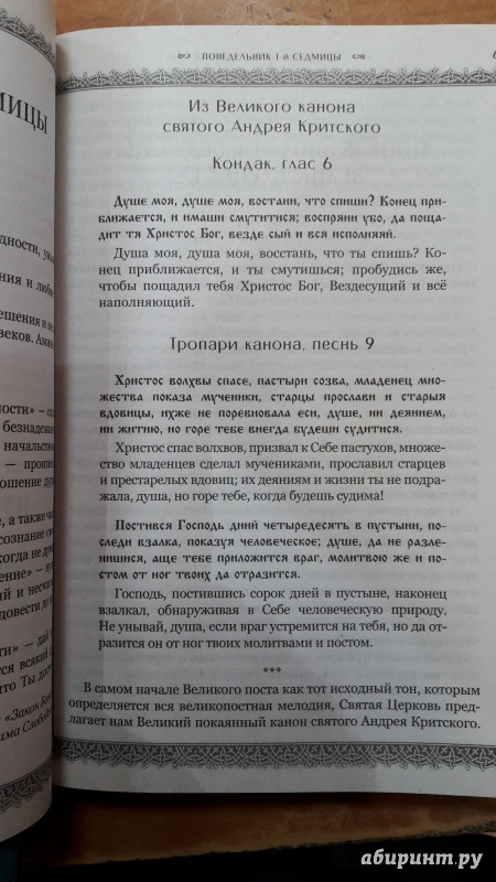 Иллюстрация 8 из 17 для Душеполезные поучения на каждый день Великого поста | Лабиринт - книги. Источник: Хранительница книг