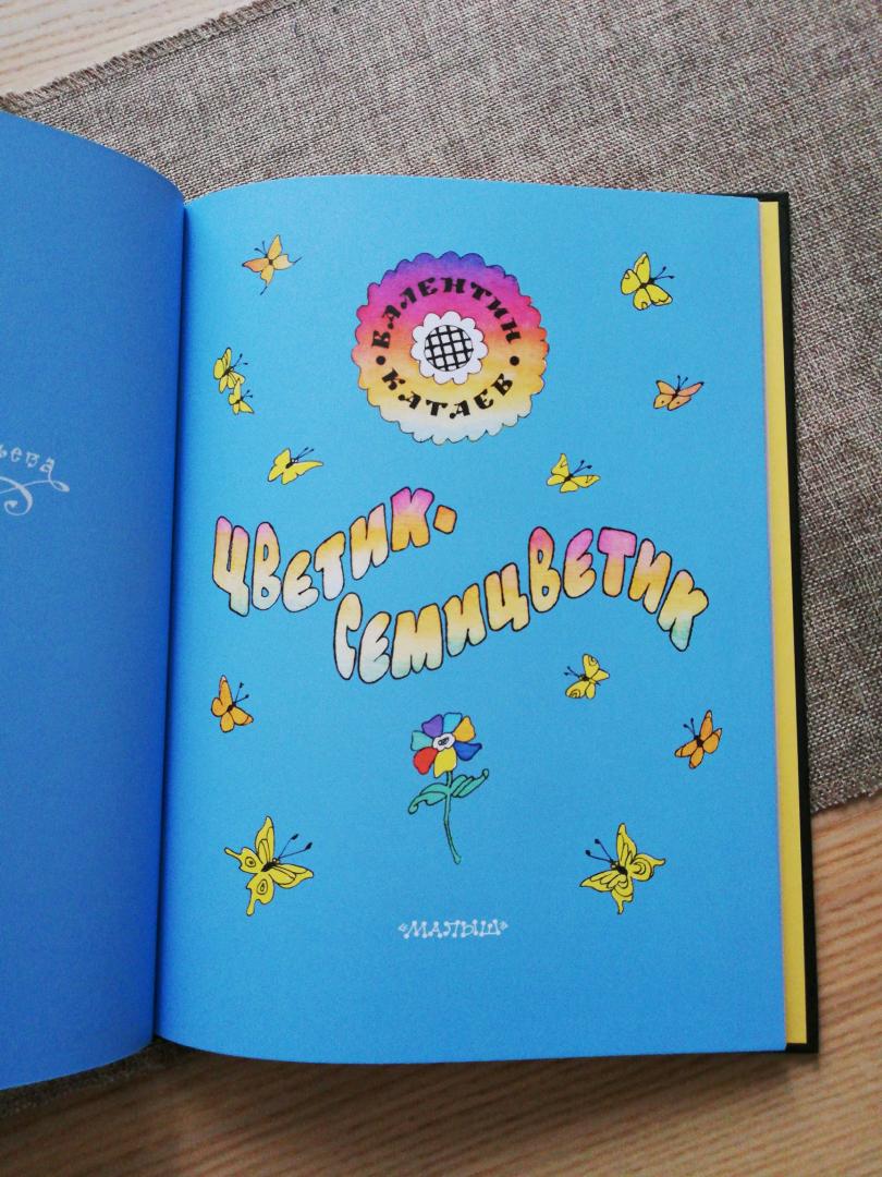 Иллюстрация 73 из 87 для Цветик-семицветик - Валентин Катаев | Лабиринт - книги. Источник: Игнатьева Евгения