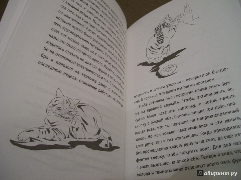 Иллюстрация 18 из 58 для Подарок от кота Боба - Джеймс Боуэн | Лабиринт - книги. Источник: КошкаПолосатая