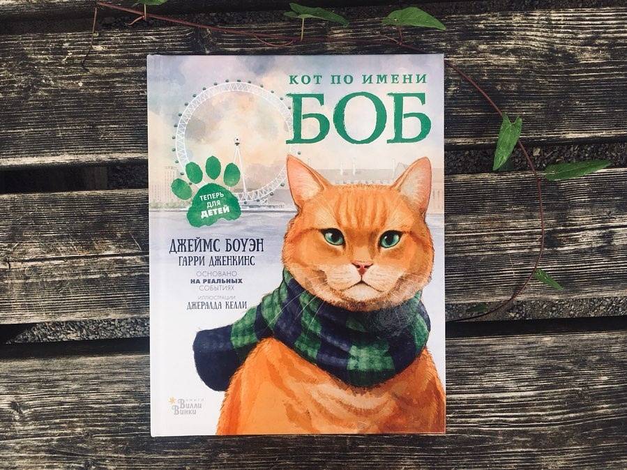 Иллюстрация 36 из 69 для Кот по имени Боб - Боуэн, Дженкинс | Лабиринт - книги. Источник: Отзывы читателей