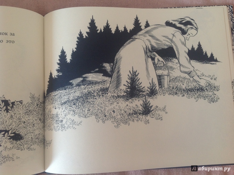 Иллюстрация 51 из 61 для Черника для Саши - Роберт Макклоски | Лабиринт - книги. Источник: К  Анна