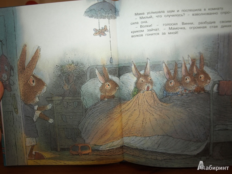Иллюстрация 13 из 43 для Сказки на ночь - Карол Рот | Лабиринт - книги. Источник: Nani