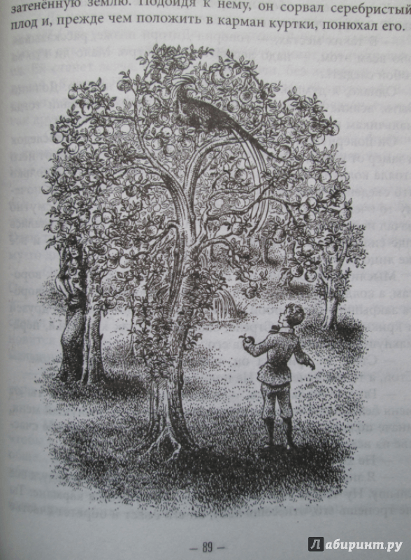 Иллюстрация 74 из 119 для Хроники Нарнии - Клайв Льюис | Лабиринт - книги. Источник: Турвина  Анастасия
