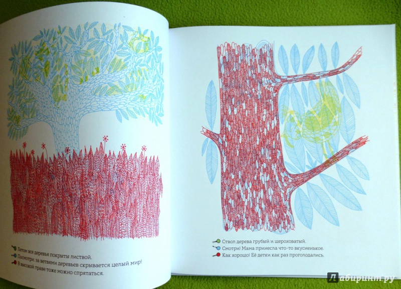 Иллюстрация 75 из 92 для Кто прячется в лесу? - Айна Бестард | Лабиринт - книги. Источник: reader*s