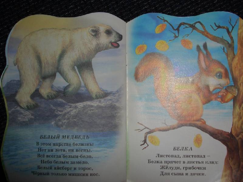 Иллюстрация 3 из 8 для В зоопарке №2 (медведь) - Елена Михайленко | Лабиринт - книги. Источник: sher