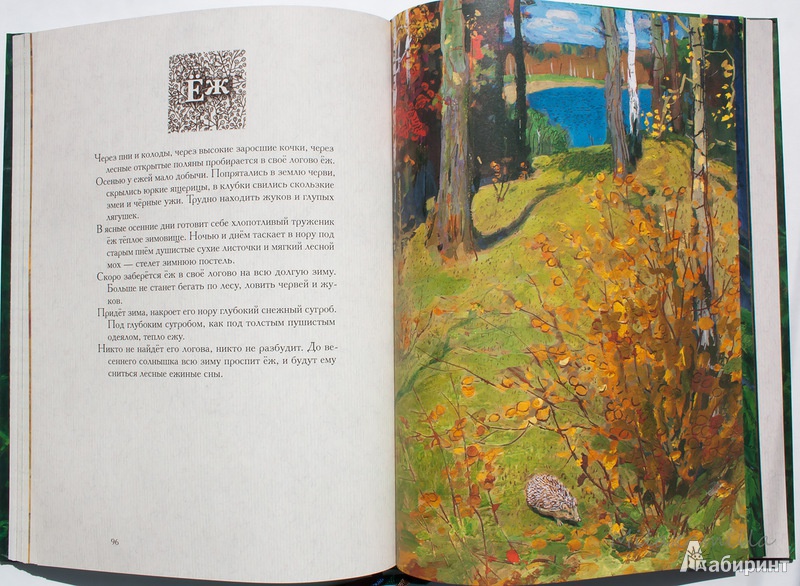 Иллюстрация 68 из 69 для Год в лесу - Иван Соколов-Микитов | Лабиринт - книги. Источник: Букландия
