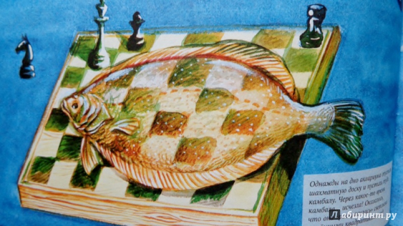 Иллюстрация 28 из 42 для Рыбы - Николай Сладков | Лабиринт - книги. Источник: Матти Суоми