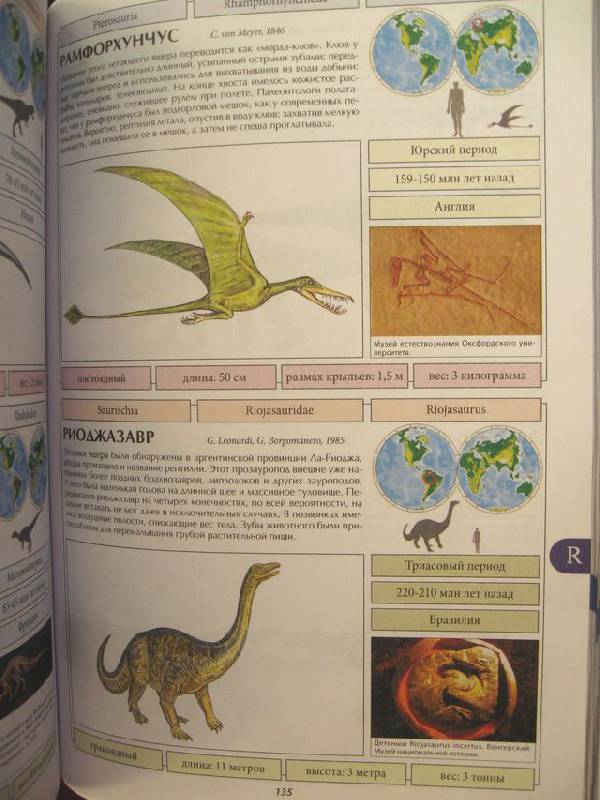 Иллюстрация 3 из 16 для Все о динозаврах | Лабиринт - книги. Источник: МаРысь