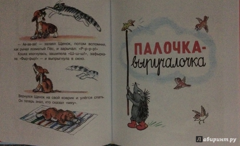 Иллюстрация 9 из 10 для Маленькие приключения - Владимир Сутеев | Лабиринт - книги. Источник: MARI