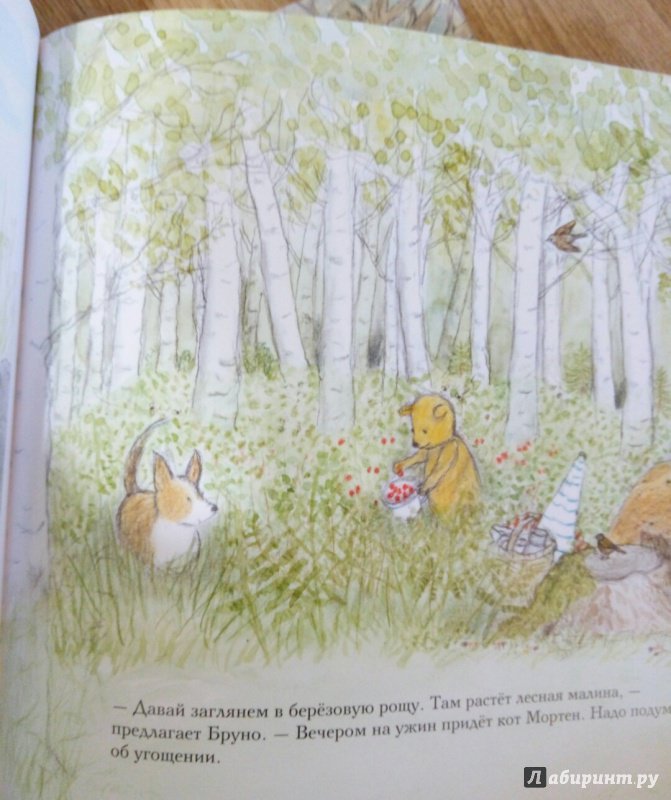 Иллюстрация 48 из 58 для Лето мишки Бруно - Гунилла Ингвес | Лабиринт - книги. Источник: Панина Елена