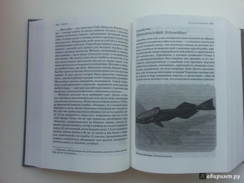 Иллюстрация 42 из 58 для Жизнь животных в одном томе - Альфред Брем | Лабиринт - книги. Источник: VALERIYA