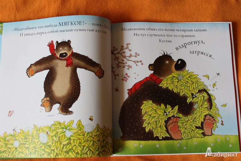 Иллюстрация 10 из 13 для С кем обняться медвежонку? - Дэвид Меллинг | Лабиринт - книги. Источник: helenaj