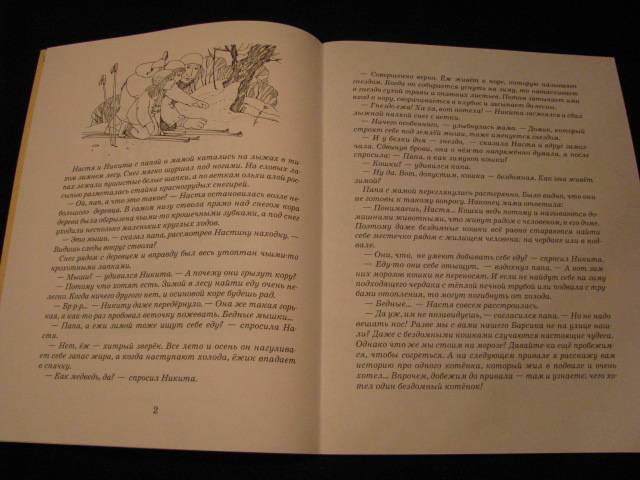 Иллюстрация 39 из 50 для Зимняя сказка - Екатерина Каретникова | Лабиринт - книги. Источник: Nemertona