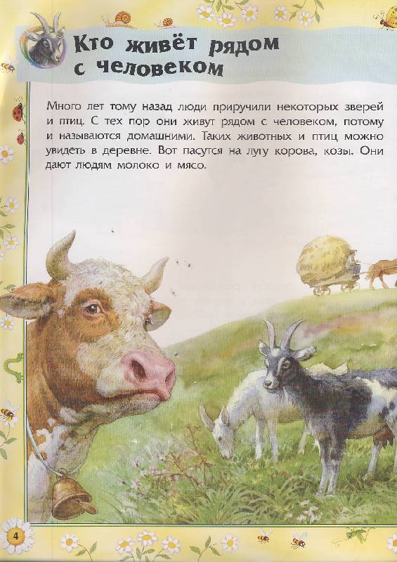 Иллюстрация 2 из 6 для Животные | Лабиринт - книги. Источник: Евгения Анатольевна