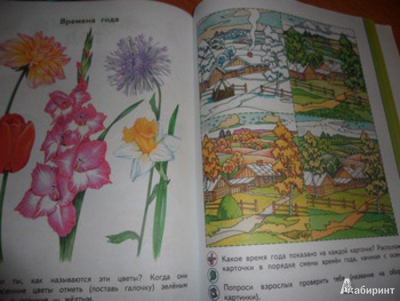 Иллюстрация 10 из 23 для Зеленая тропинка. Пособие для детей 5-7 лет. ФГОС ДО - Андрей Плешаков | Лабиринт - книги. Источник: юлия д.