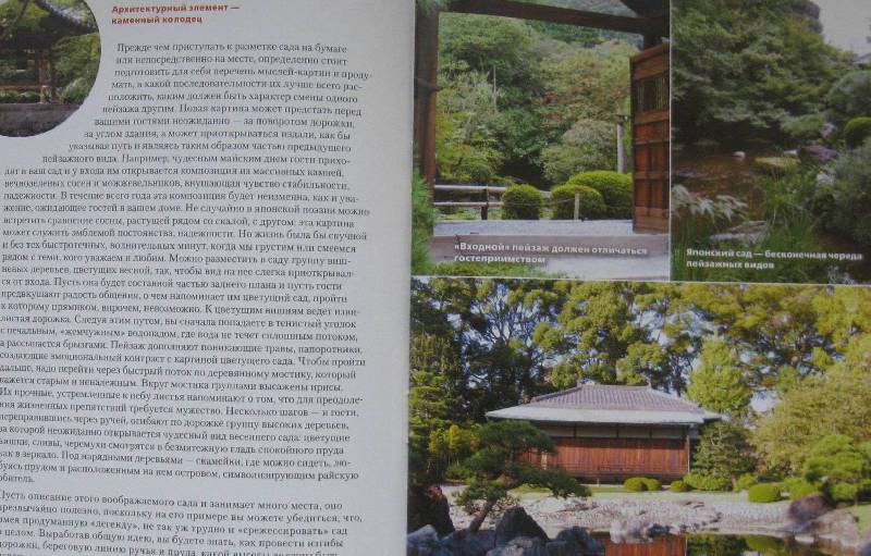 Иллюстрация 4 из 15 для Ландшафтный дизайн по-японски | Лабиринт - книги. Источник: Флоренция