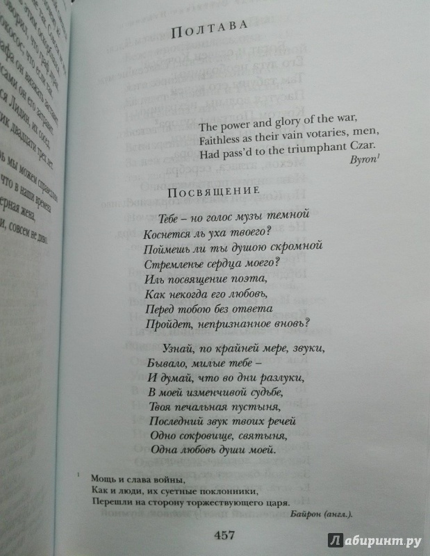 Иллюстрация 25 из 33 для Стихотворения - Александр Пушкин | Лабиринт - книги. Источник: NiNon