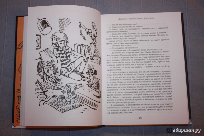 Иллюстрация 25 из 66 для Девочка с Земли - Кир Булычев | Лабиринт - книги. Источник: Михайлова Алексия