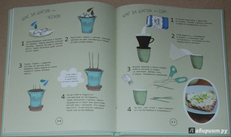 Иллюстрация 25 из 28 для Огород на подоконнике - Линдстрем, Нюберг | Лабиринт - книги. Источник: Книжный кот