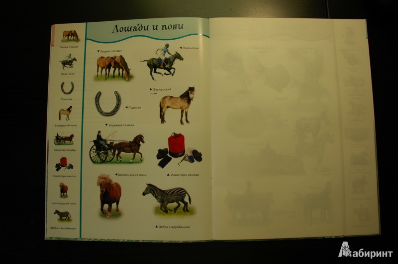 Иллюстрация 6 из 19 для Лошади и пони. Забавные наклейки | Лабиринт - книги. Источник: Busyay