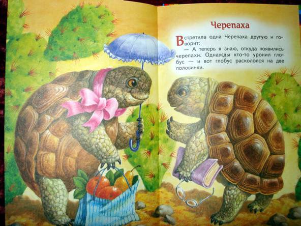 Стихи про черепах. Стишок про черепаху для детей. Стишки про черепашку. Стих про черепашку. Стих про черепашку для детей.