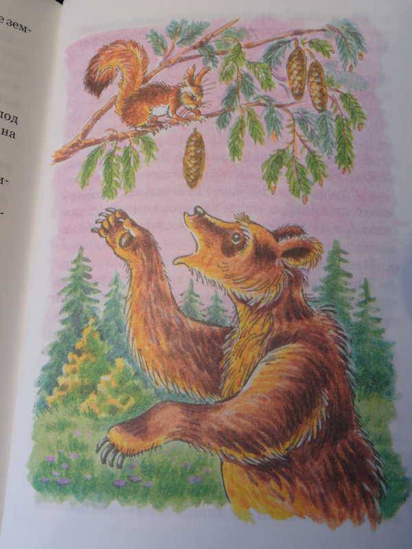 Иллюстрация 14 из 15 для Лесные шорохи - Николай Сладков | Лабиринт - книги. Источник: anandaplus