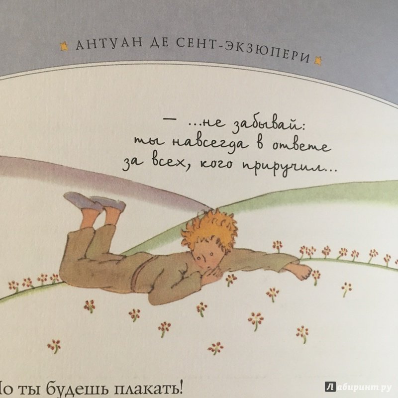 Иллюстрация 46 из 101 для Маленький принц - Антуан Сент-Экзюпери | Лабиринт - книги. Источник: Узназакова  Карина Рафиковна