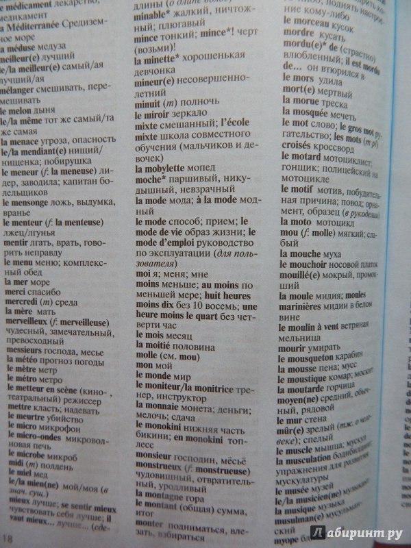 Иллюстрация 23 из 29 для Элементарный французский за месяц - Ирвинг, Нидхэм, Колвин | Лабиринт - книги. Источник: mops