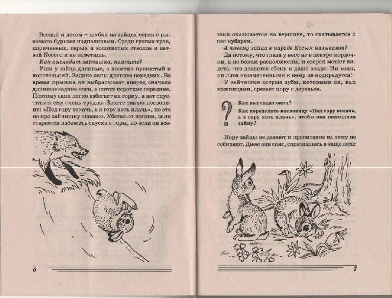 Иллюстрация 7 из 14 для Какие звери в лесу? Книга для воспитателей, гувернеров и родителей - Татьяна Шорыгина | Лабиринт - книги. Источник: SVETLANKA
