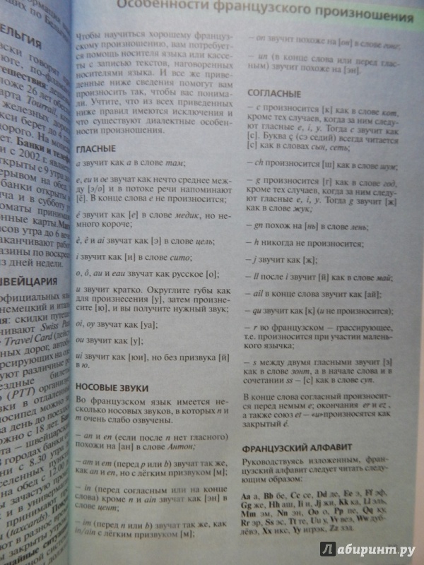 Иллюстрация 13 из 29 для Элементарный французский за месяц - Ирвинг, Нидхэм, Колвин | Лабиринт - книги. Источник: mops