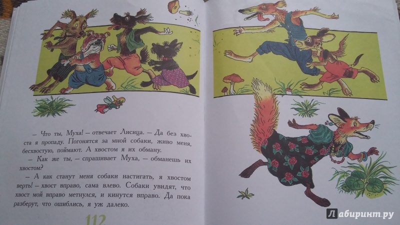Иллюстрация 30 из 48 для Сказки про животных - Паустовский, Бианки, Заходер | Лабиринт - книги. Источник: Пальцева  Светлана