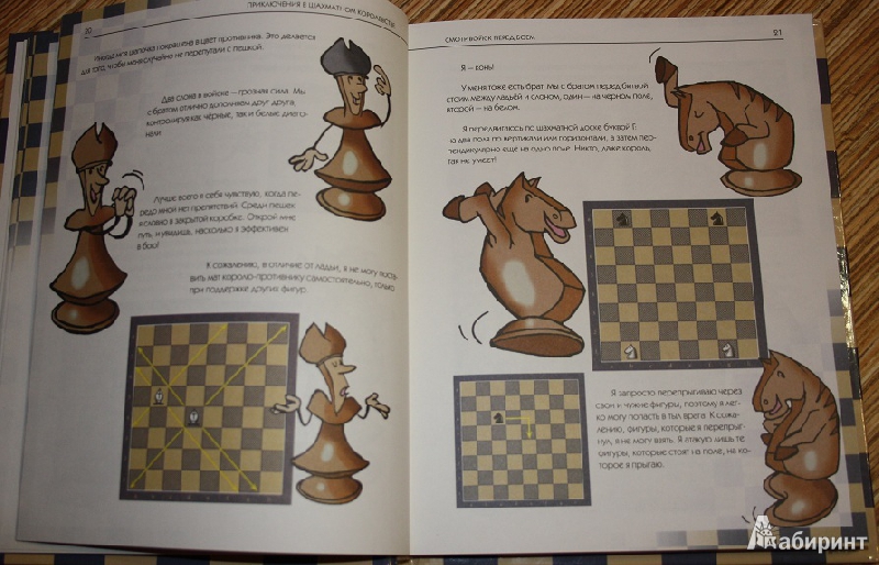 Иллюстрация 5 из 25 для Приключения в шахматном королевстве - Халас, Геци | Лабиринт - книги. Источник: КНИЖНОЕ ДЕТСТВО