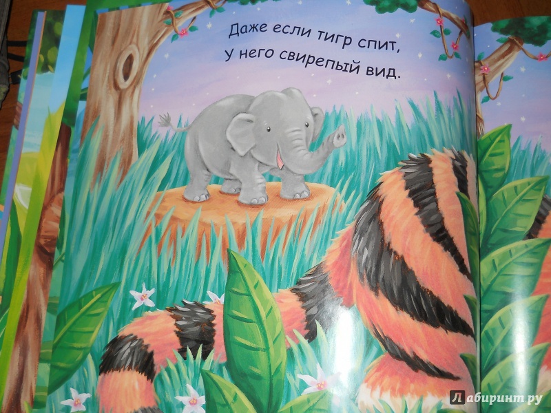 Иллюстрация 16 из 26 для Слоненок в диких джунглях - Иан Уайброу | Лабиринт - книги. Источник: Багринцева  Юлия