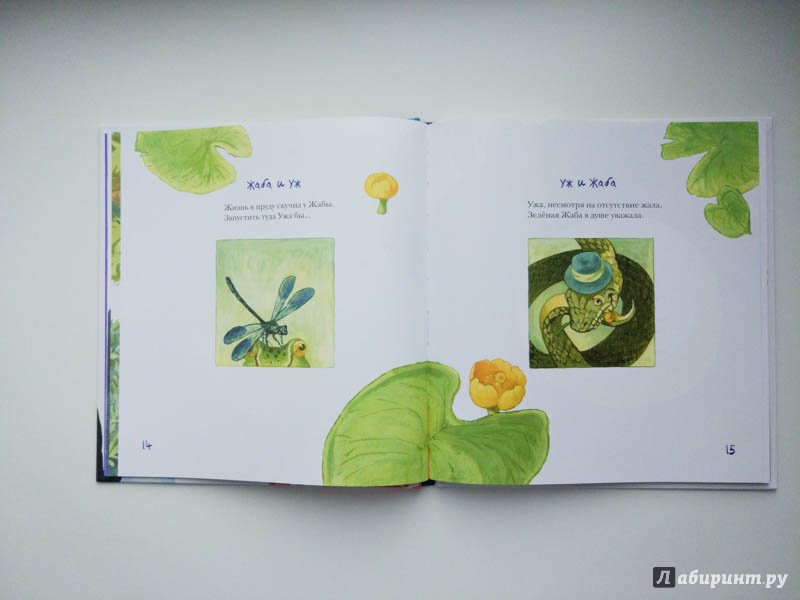 Иллюстрация 16 из 35 для Про осьминога - Рената Муха | Лабиринт - книги. Источник: Лучникова  Люба