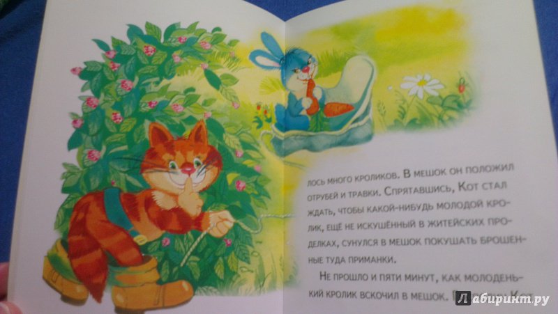 Иллюстрация 11 из 13 для Кот в сапогах | Лабиринт - книги. Источник: Бондаренко  Ольга
