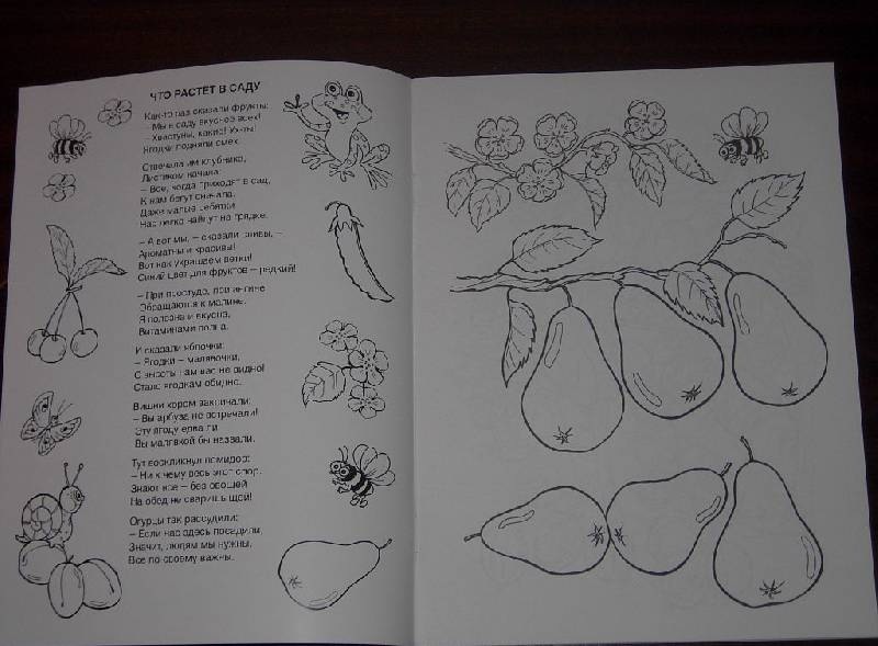 Иллюстрация 2 из 6 для Что растет в саду - Татьяна Коваль | Лабиринт - книги. Источник: Iwolga
