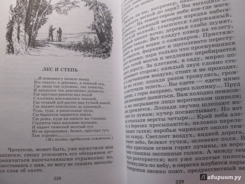 Иллюстрация 26 из 39 для Муму. Записки охотника. Рассказы - Иван Тургенев | Лабиринт - книги. Источник: NiNon