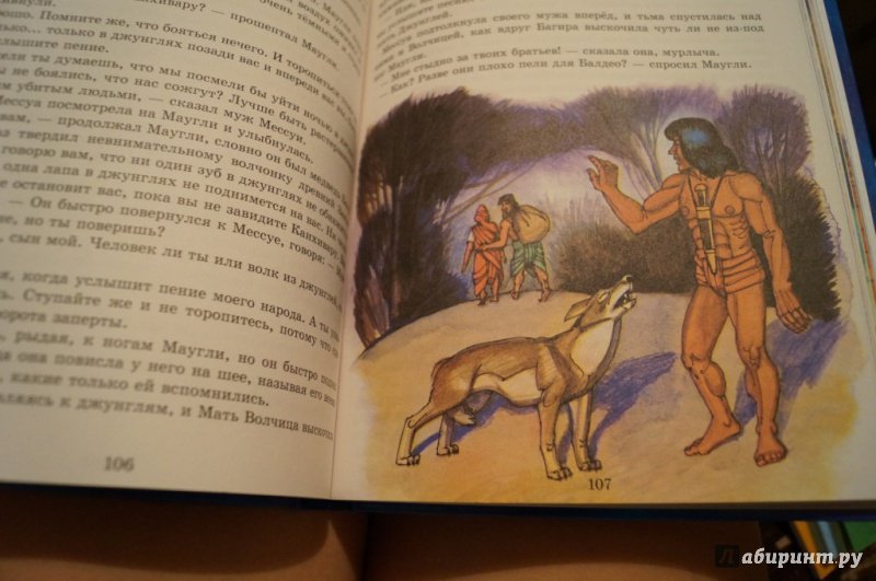 Иллюстрация 50 из 64 для Маугли - Редьярд Киплинг | Лабиринт - книги. Источник: Тухкина  Евгения