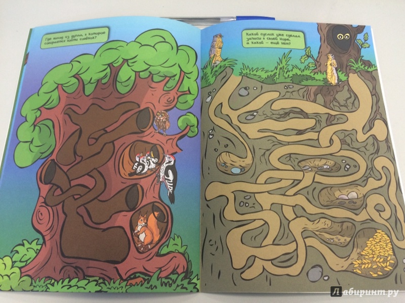 Иллюстрация 6 из 16 для Лабиринты. Чудесный лес. Тетрадь для занятий с детьми 5-6 лет - Вениамин Мёдов | Лабиринт - книги. Источник: Лариса