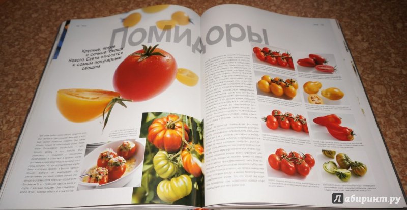 Иллюстрация 25 из 34 для Кулинария. Весь мир продуктов питания - Кристиан Тойбнер | Лабиринт - книги. Источник: Космос