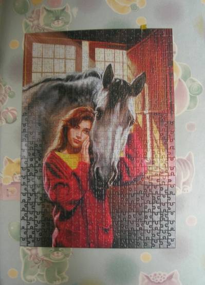 Иллюстрация 5 из 5 для Puzzle-500. Девушка с лошадью (В-51236) | Лабиринт - игрушки. Источник: Жужка