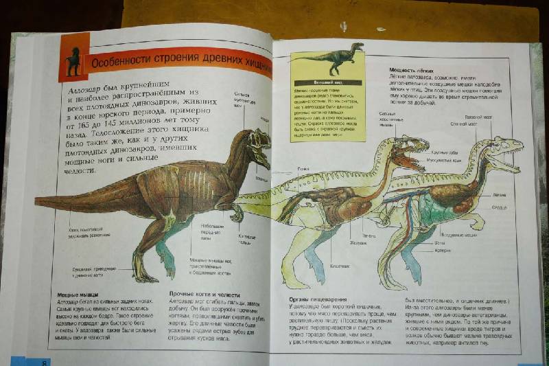 Иллюстрация 6 из 12 для Самые удивительные динозавры (серая) - Дугал Диксон | Лабиринт - книги. Источник: вера_о