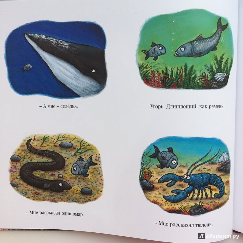 Иллюстрация 26 из 65 для Тюлька. Маленькая рыбка и большая выдумщица - Джулия Дональдсон | Лабиринт - книги. Источник: Минаева  Анастасия