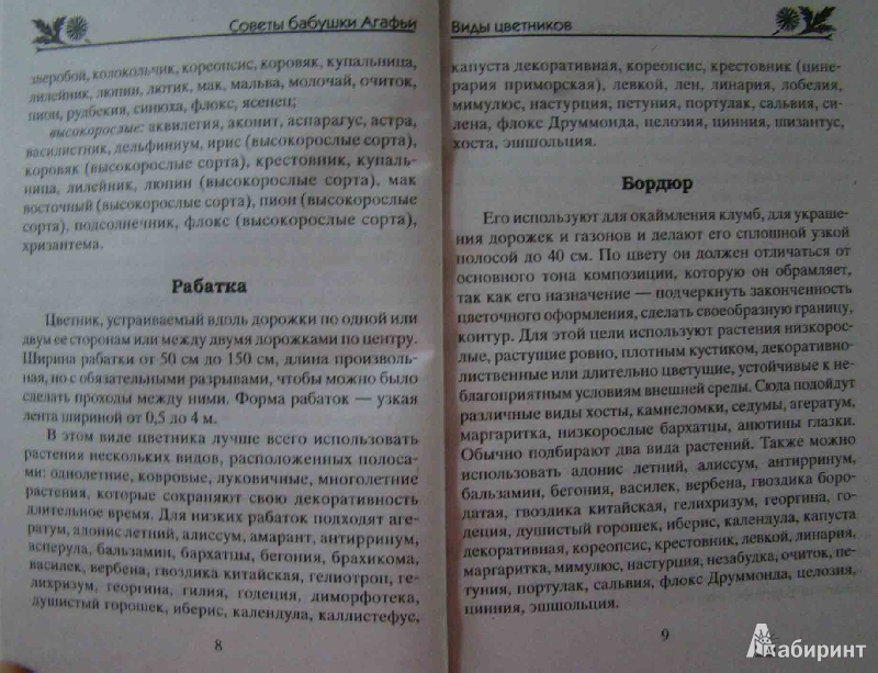 Иллюстрация 4 из 11 для Однолетние цветы дивной красоты. Выращивание, размножение, уход - Агафья Звонарева | Лабиринт - книги. Источник: Easy