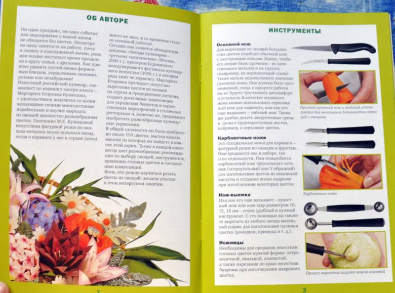 Иллюстрация 28 из 28 для Полевые цветы - Маргарита Кузнецова | Лабиринт - книги. Источник: Ассоль