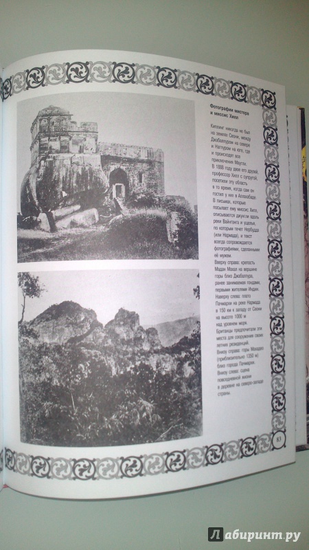 Иллюстрация 17 из 27 для Книга джунглей - Редьярд Киплинг | Лабиринт - книги. Источник: bamboo