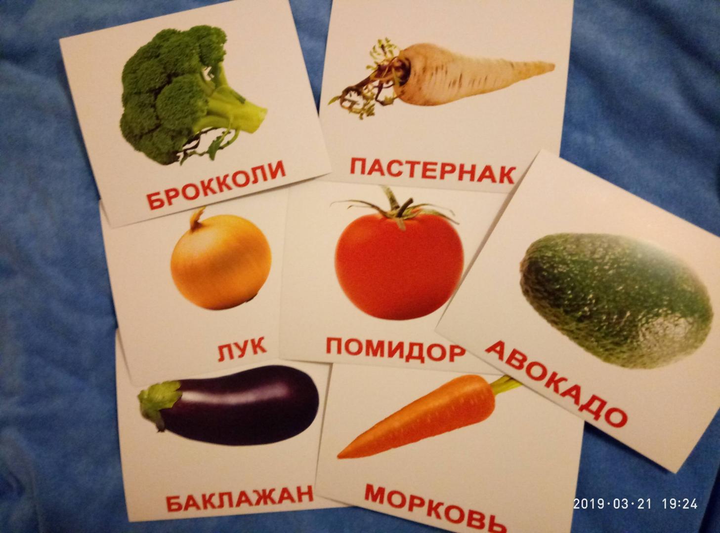 Иллюстрация 22 из 36 для Комплект карточек "Овощи" (16,5х19,5 см) - Носова, Епанова | Лабиринт - игрушки. Источник: Лабиринт