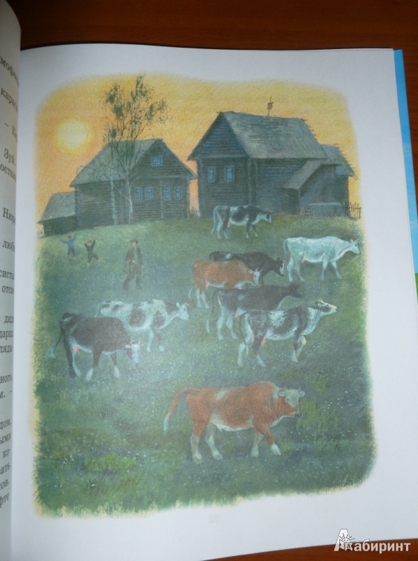 Иллюстрация 37 из 59 для Картофельная собака - Юрий Коваль | Лабиринт - книги. Источник: дева